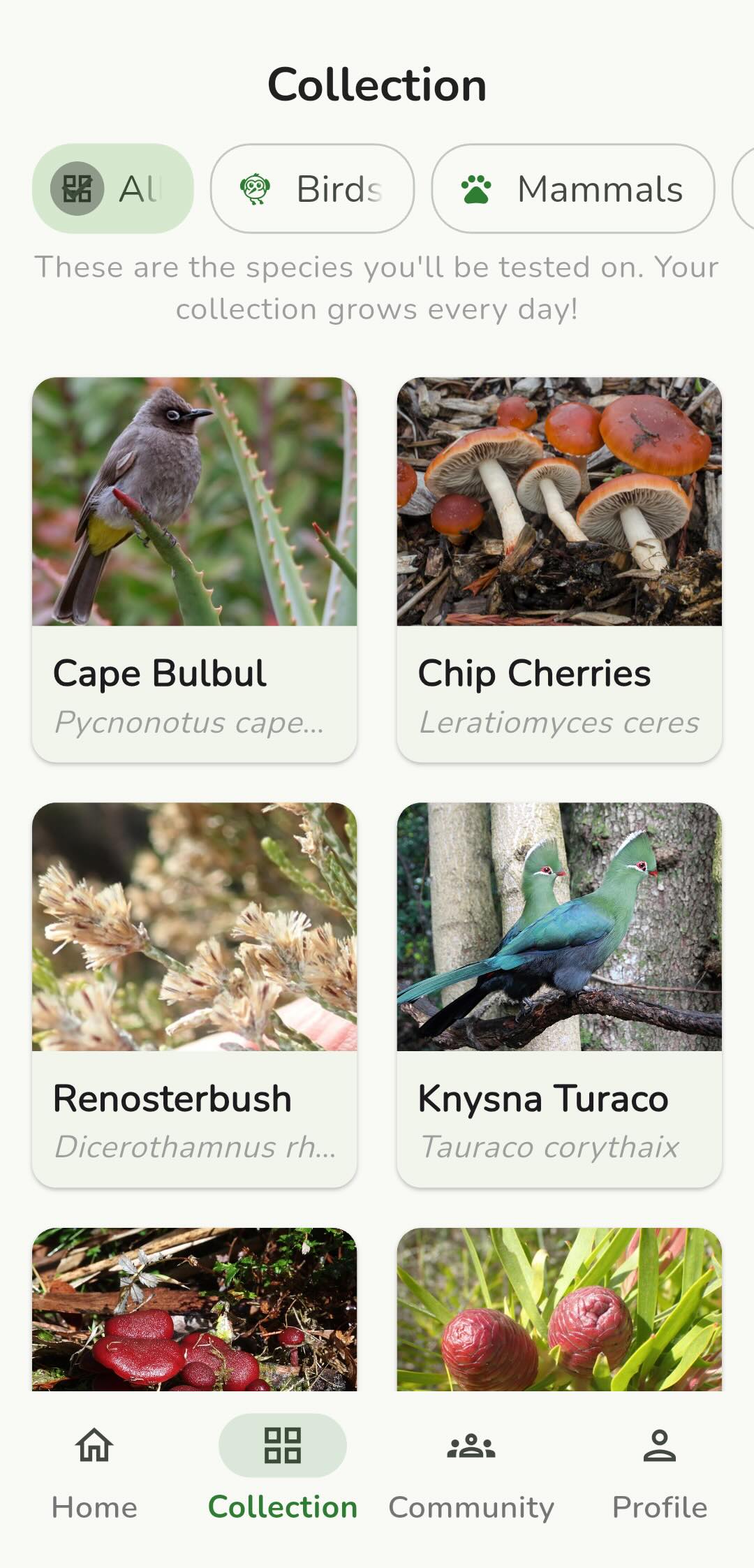 Your growing collection of learned species