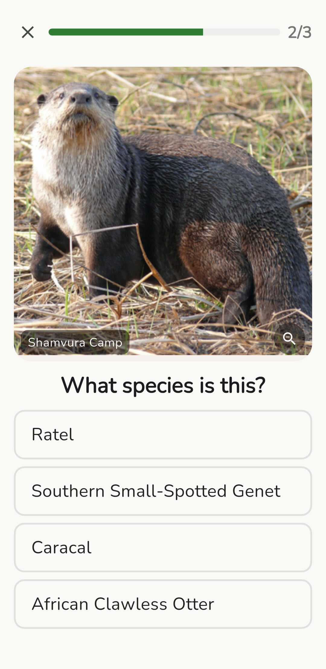 Multiple-choice quiz question with four species options